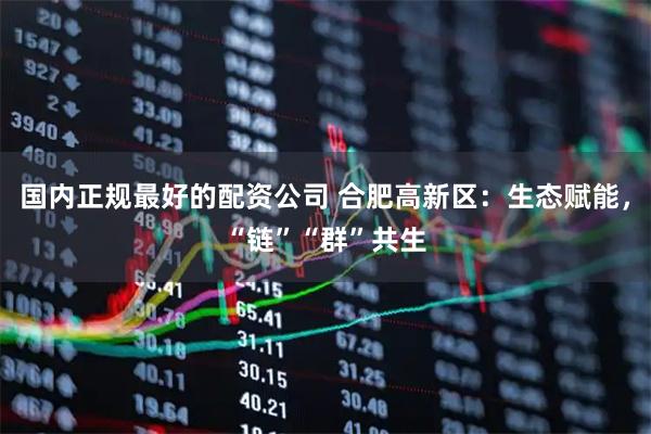 国内正规最好的配资公司 合肥高新区：生态赋能，“链”“群”共生