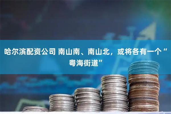 哈尔滨配资公司 南山南、南山北，或将各有一个“粤海街道”