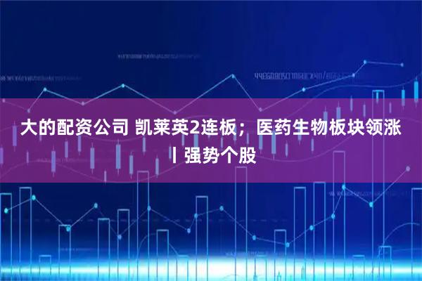 大的配资公司 凯莱英2连板；医药生物板块领涨丨强势个股